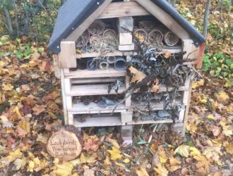 Bug Hotel, Royston Wood