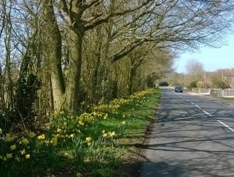 Sunny Morning in April